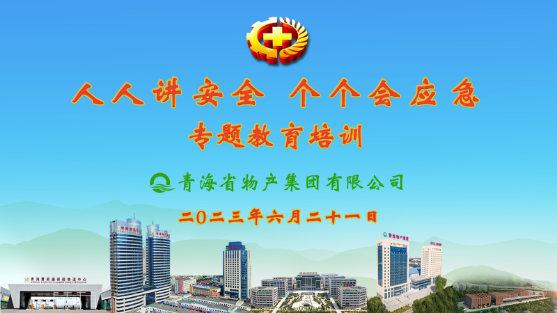 提高安全管理水平 落實(shí)全員安全責(zé)任&mdash;&mdash;集團(tuán)安委會(huì)舉辦2023年&ldquo;人人講安全，個(gè)個(gè)會(huì)應(yīng)急&rdquo;專題教育培訓(xùn)